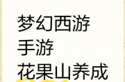 梦幻西游法宝宝加点推荐是什么？如何根据用途选择加点？