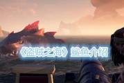 《以盗贼之海》钓鱼技巧详解（游戏中的钓鱼技术与技巧）