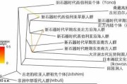 人类如何在黎明时分度过寒冬暴雪？有哪些有效的方法？
