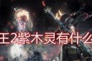 仁王紫雷切获取方法是什么？详细攻略详解在哪里？