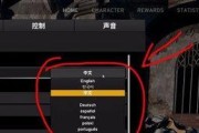 打造胜利团队，四排绝地求生技巧大揭秘
