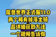 魔兽世界护卫犬坐骑获取方法？需要完成哪些任务？