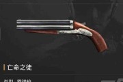 《狙击精英4》散弹枪升级攻略（快速提升散弹枪等级）