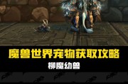 魔兽世界中如何升级小宠物？有哪些快速提升宠物等级的方法？