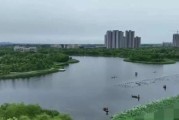 地铁离去（以游戏为主的鱼怪击杀方法详解）
