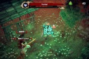 以侍道外传（发掘秘密）