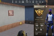 《如何非法组队，畅享吃鸡之乐——以刺激战场为例》（学会非法组队的方法）