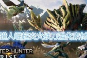 怪物猎人崛起支援行动（详细介绍新作玩法）