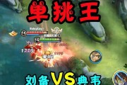 王者大揭秘（王者荣耀中的王老夫子）