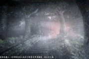 仁王近畿篇主线任务7潸然落雪怎么过？详细攻略步骤是什么？