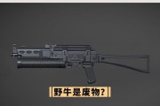 探秘绝地求生QBU原型枪械（解锁QBU神秘面纱）