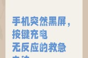 10黑屏怎么办？如何快速解决黑屏问题？