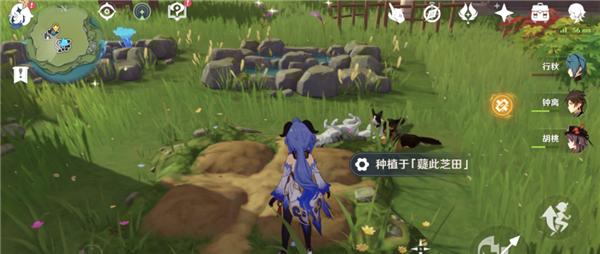 原神45级后如何快速提升角色实力（原神攻略分享）