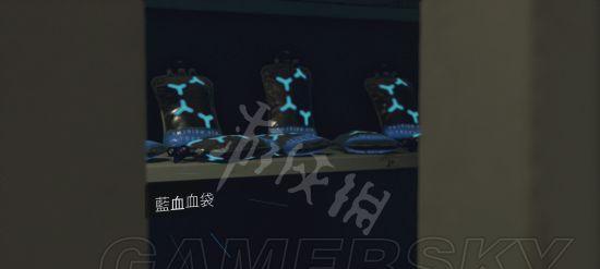 《以底特律变人午夜列车》攻略第24章全分支解锁流程（探索全新结局）