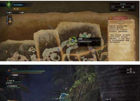 《怪物猎人世界》研究者技能全面解析（研究者效果详解）