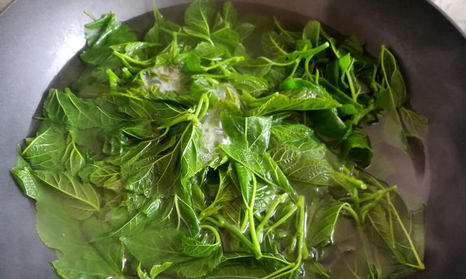 《僵尸毁灭工程》中的煮汤烤牛排与煮汤方法介绍（游戏中的美食探秘）