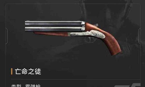 《狙击精英4》散弹枪升级攻略（快速提升散弹枪等级）