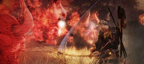 仁王DLC3元和偃武新守护灵组合效果是什么？