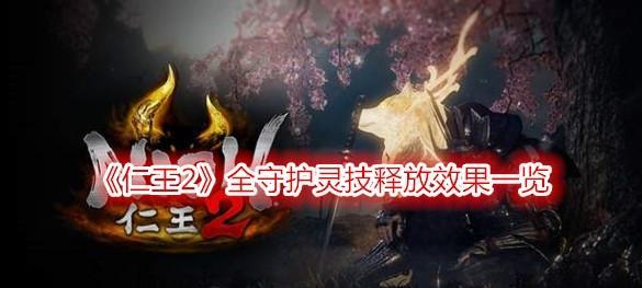 仁王DLC3元和偃武新守护灵组合效果是什么？