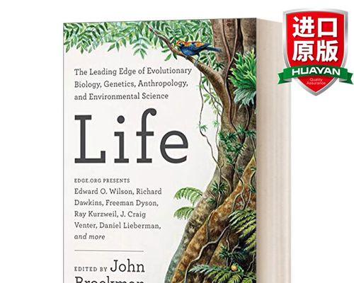 人类黎明后期防御建筑规划指南？如何提升防守技巧？