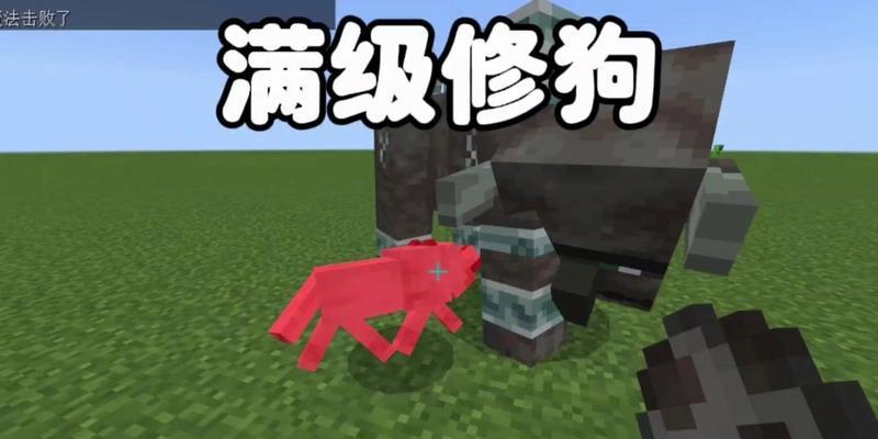 在《我的世界》中阿拉狼如何击败？需要什么策略？