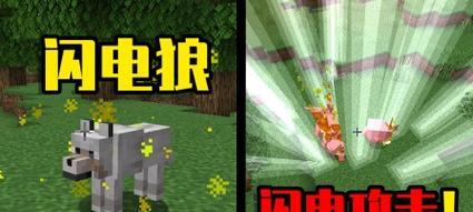 在《我的世界》中阿拉狼如何击败？需要什么策略？