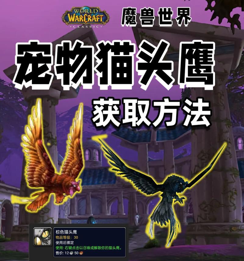 魔兽60宠物信息查看方法是什么？