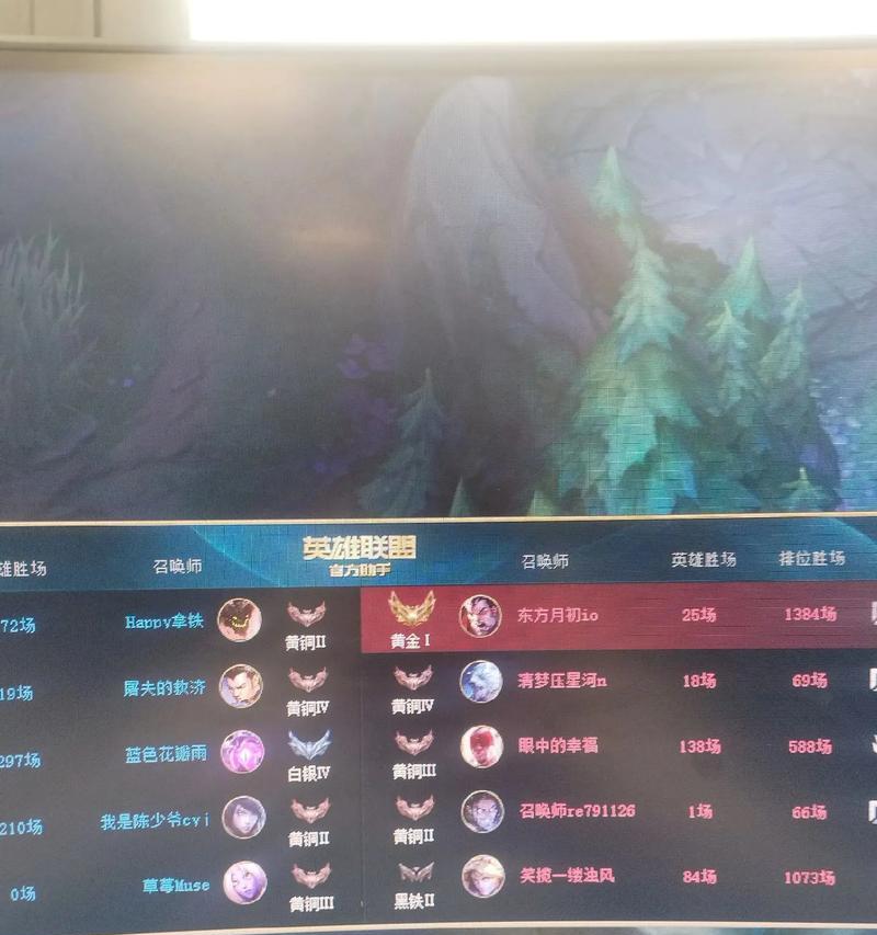 网1指的是哪个区？英雄联盟网1区的特点是什么？
