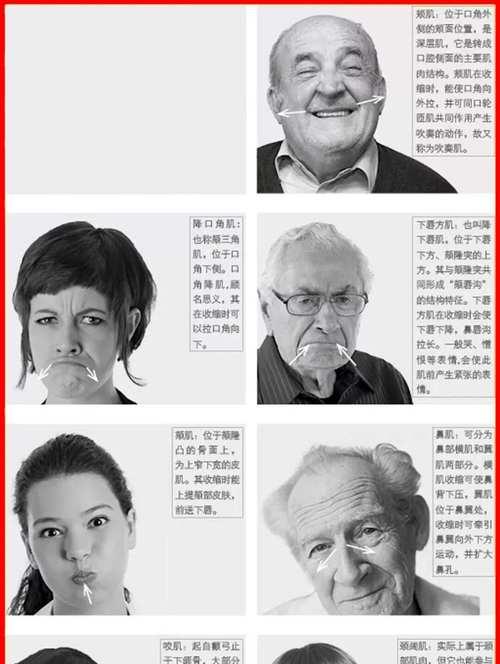 表情设置步骤详细说明？