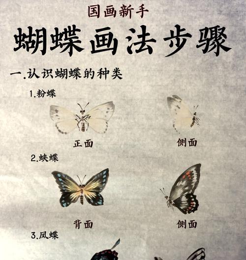 蝴蝶捕捉技巧及获取方法是什么？